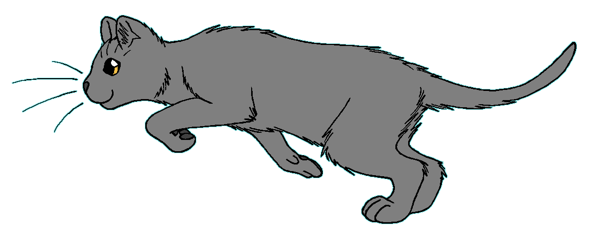 ThunderClan - Smallear