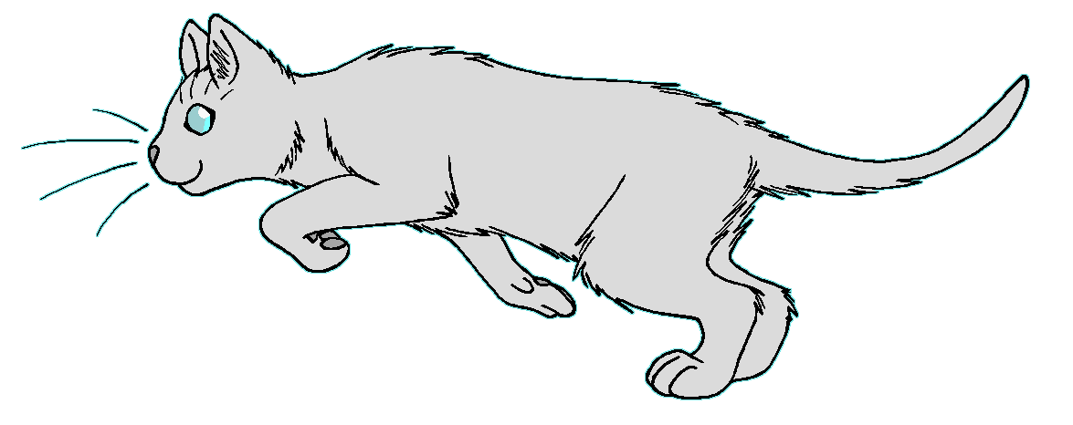 ThunderClan - One-eye