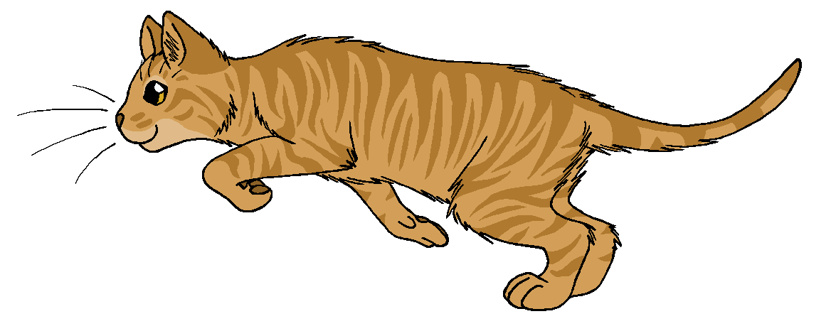 ThunderClan - Thornclaw