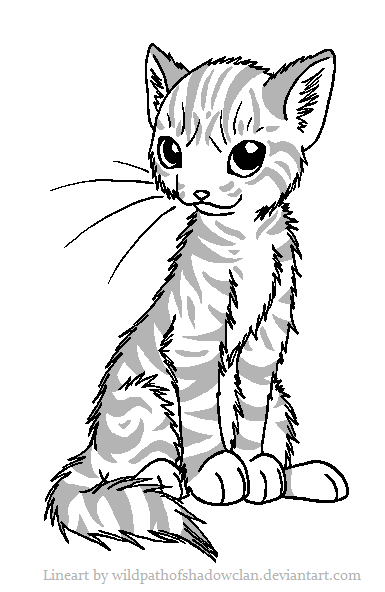 Mediumhaired Tabby Lineart