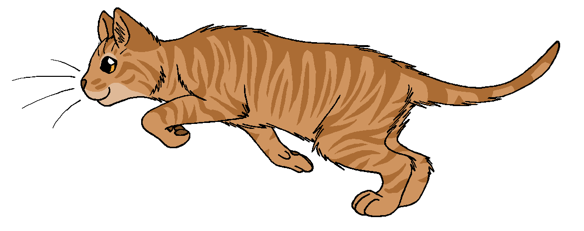 ThunderClan - Birchfall