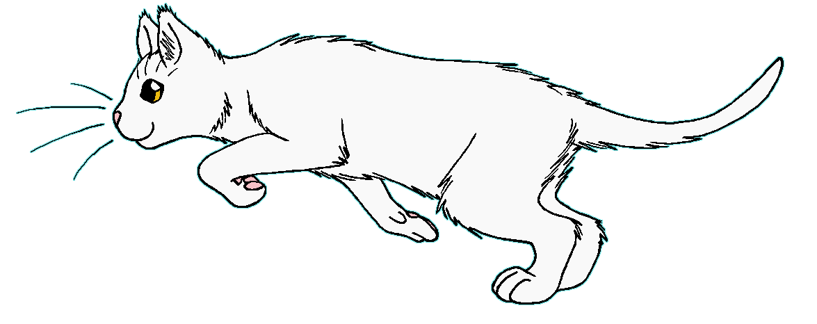 ThunderClan - Whitestorm