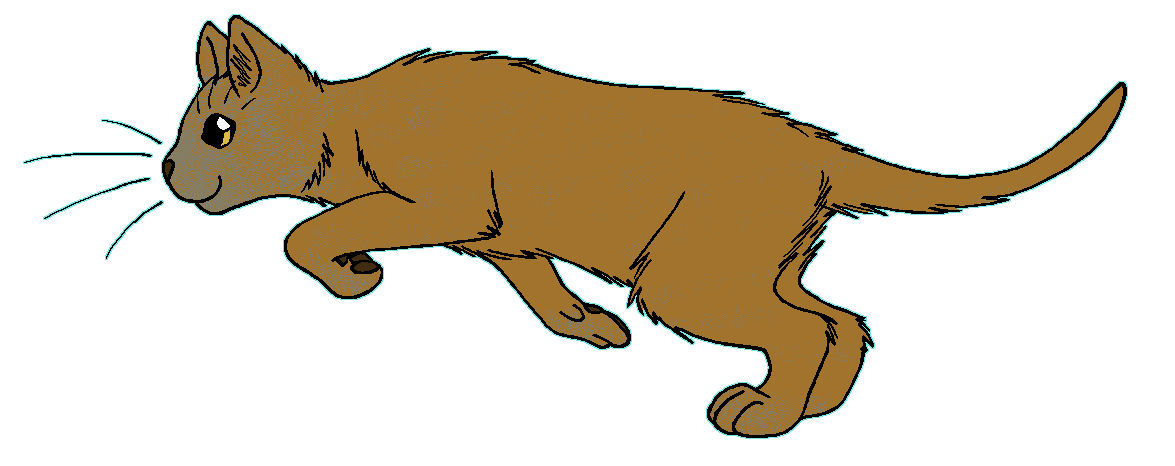 ThunderClan - Mumblefoot