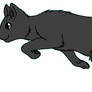 ThunderClan - Rainwhisker