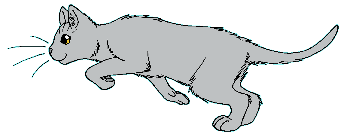 ThunderClan - Sootfur