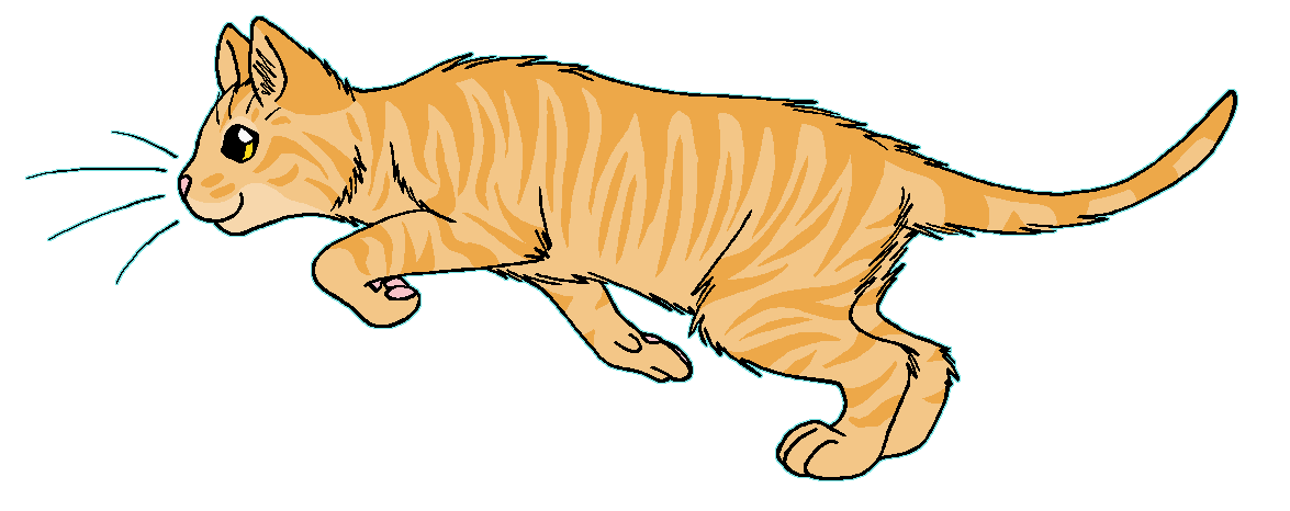 ThunderClan - Speckletail