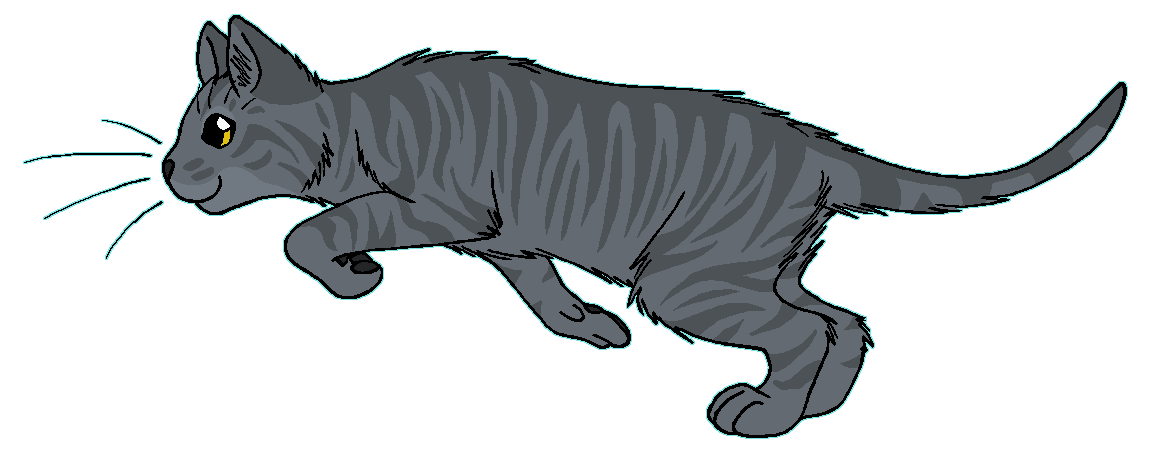 ThunderClan - Stonepelt