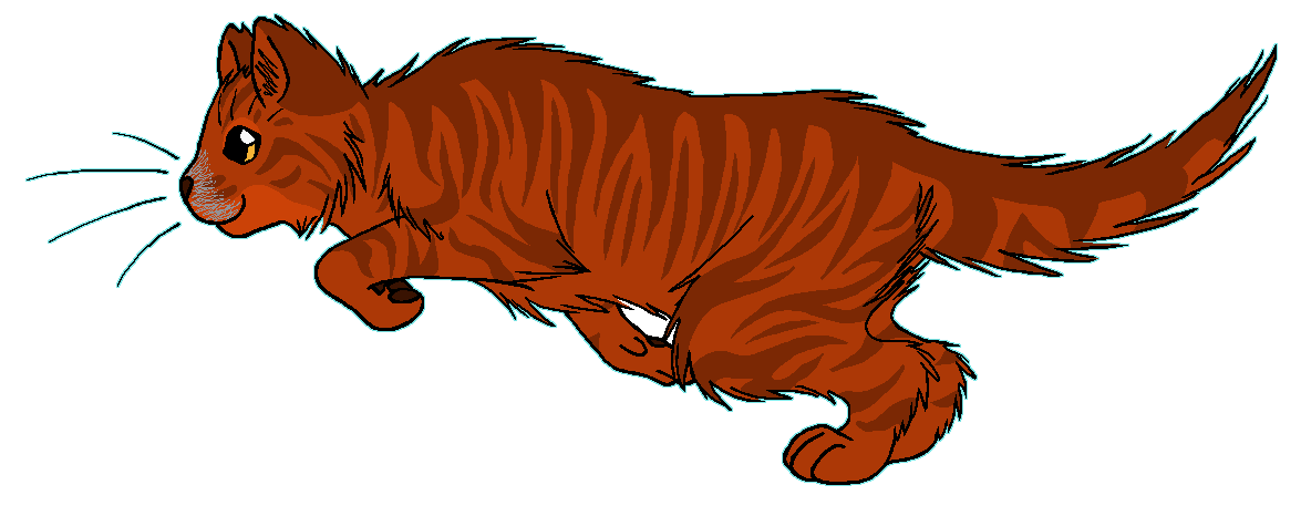 ThunderClan - Poppydawn