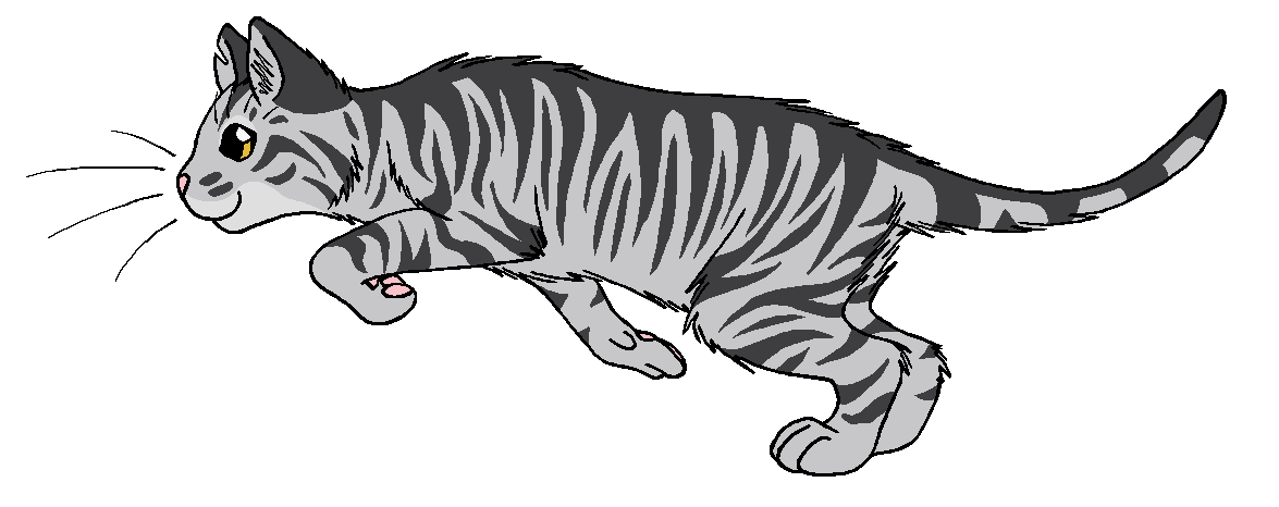 ThunderClan - Bumblestripe