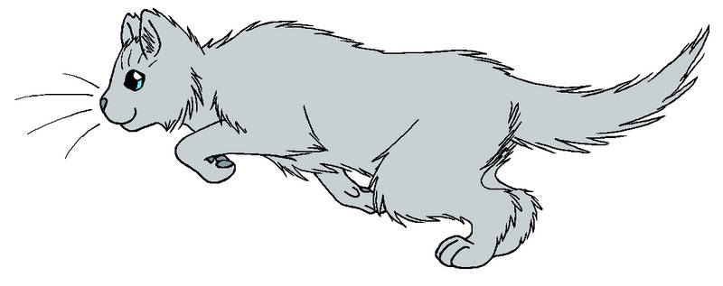 ThunderClan - Dovewing