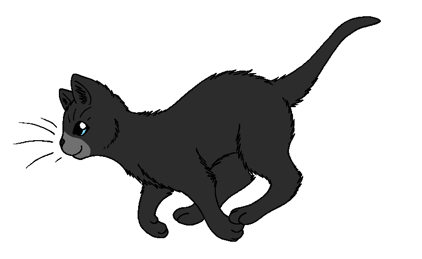 WindClan - Crowfur