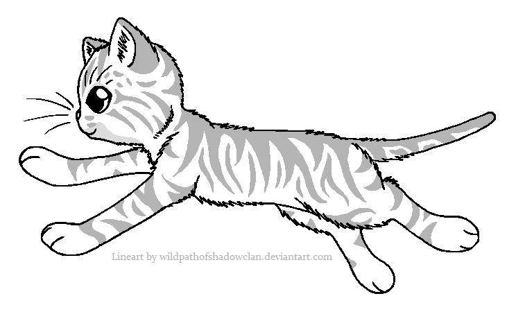 Warrior cat lineart by kovike471 on DeviantArt