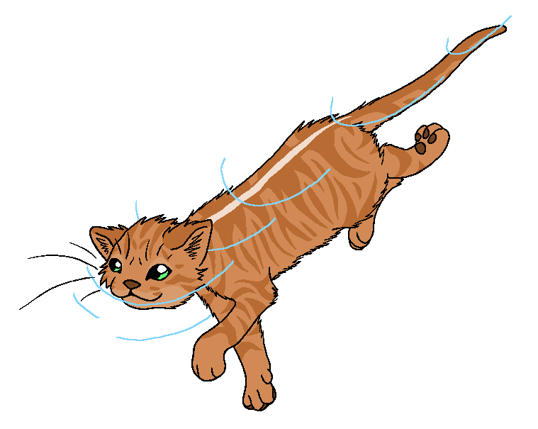 RiverClan - Lightningpelt