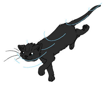 RiverClan - Reedwhisker