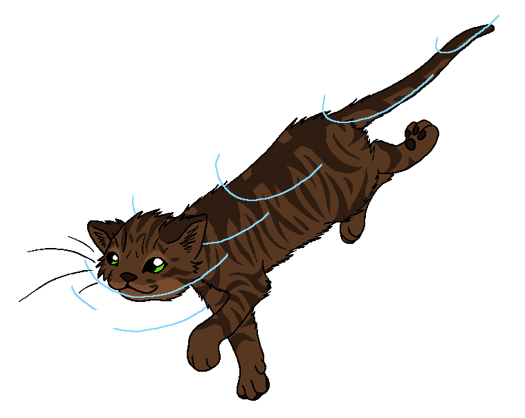 RiverClan - Swallowtail