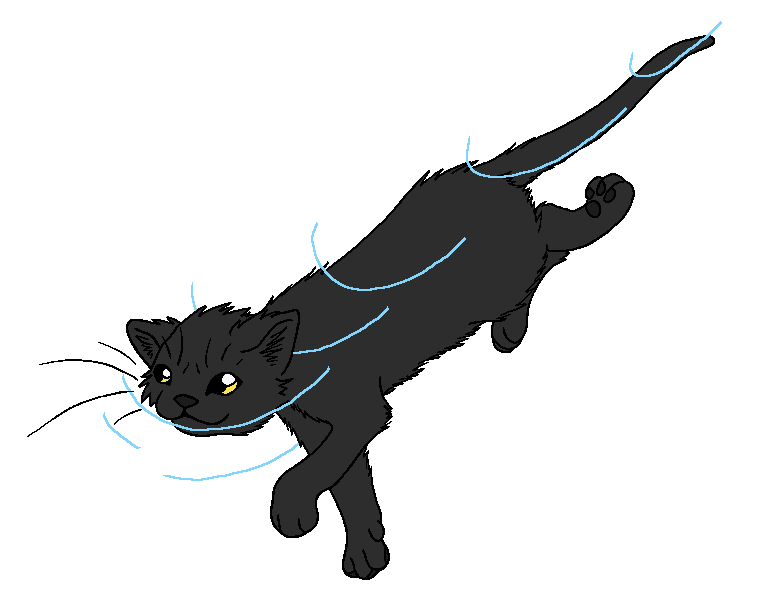 RiverClan - Molewhisker