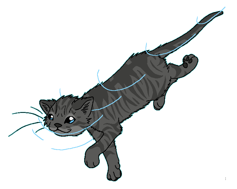 RiverClan - Rippletail