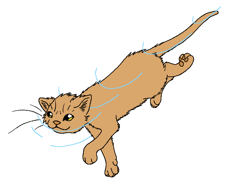 RiverClan - Beechfur