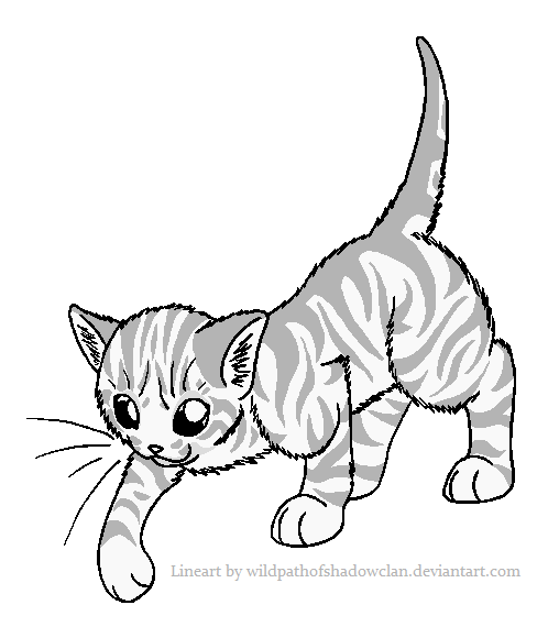 RiverClan Tabby Lineart