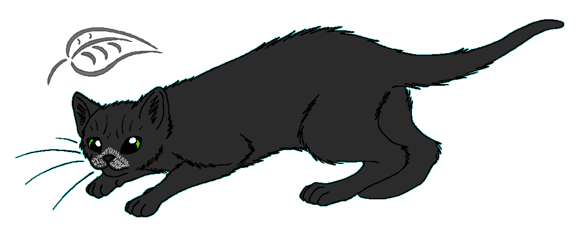 ShadowClan - Molepelt