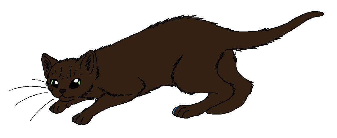 ShadowClan - Oakfur