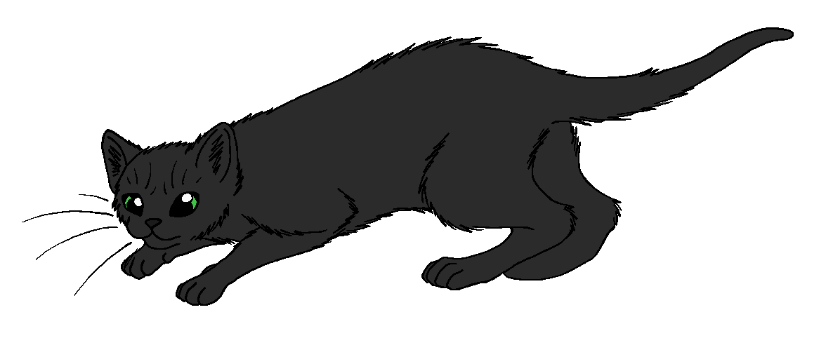 ShadowClan - Jumpfoot