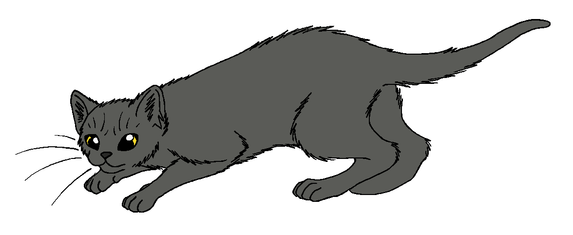 ShadowClan - Scorchfur