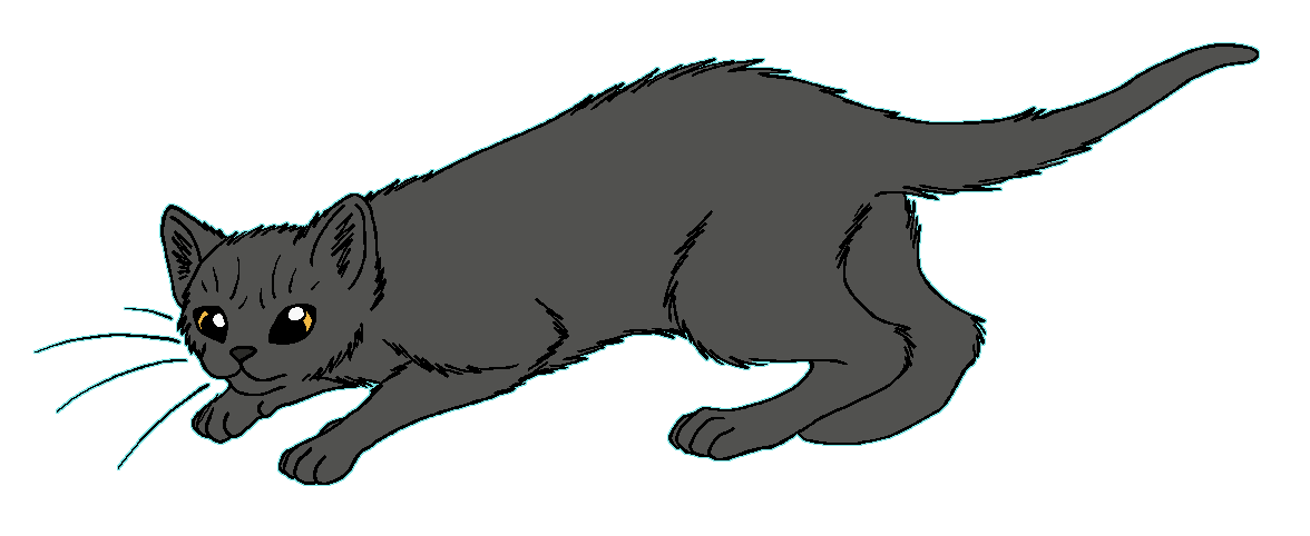 ShadowClan - Cedarheart