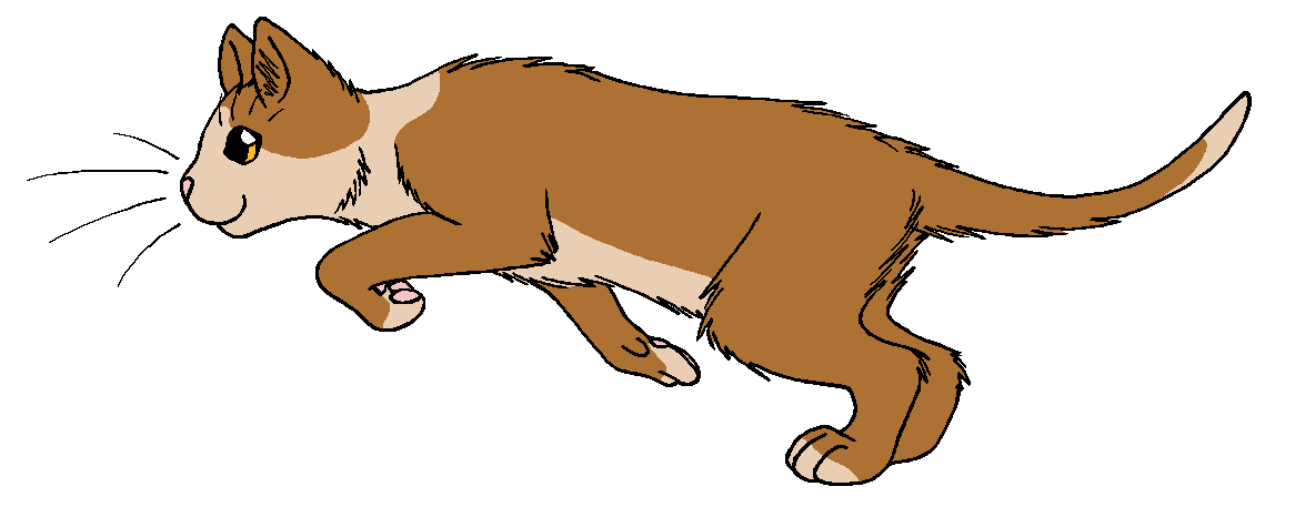 ThunderClan - Molewhisker