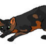 ShadowClan - Tawnypelt