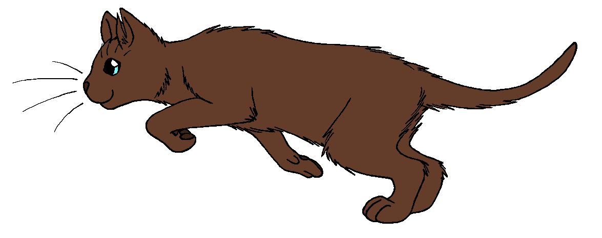ThunderClan - Pineclaw