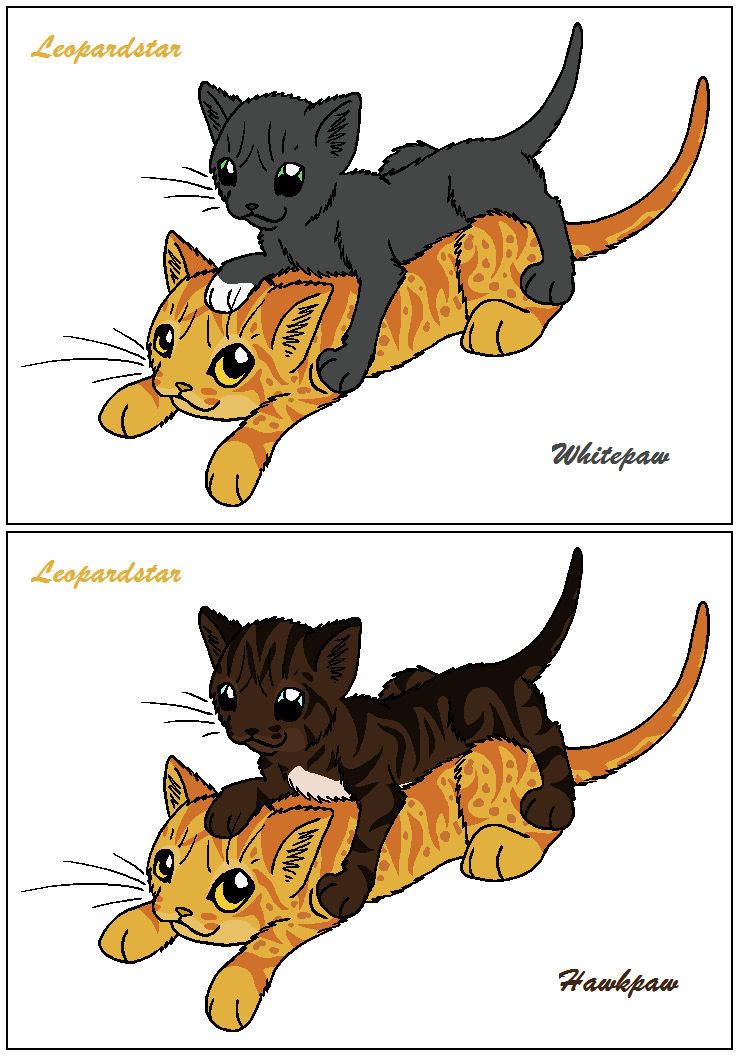 Leopard Rvc RvC - Leopardstar's Apprentice by WildpathOfShadowClan on DeviantArt