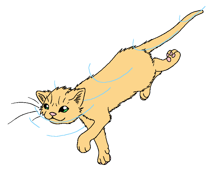 RiverClan - Sunfish