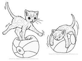 Ball Balancing Tortie Lineart