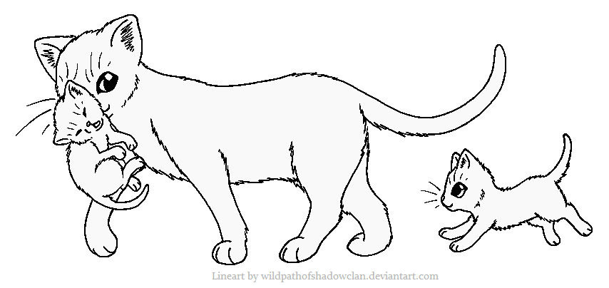 Download Kit Carrying Lineart by WildpathOfShadowClan on DeviantArt