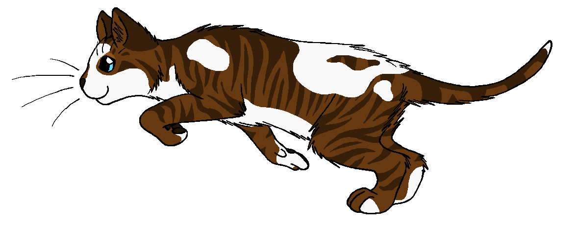 ThunderClan - Lilyheart