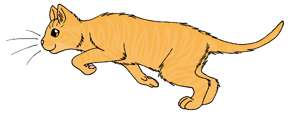 ThunderClan - Ambermoon