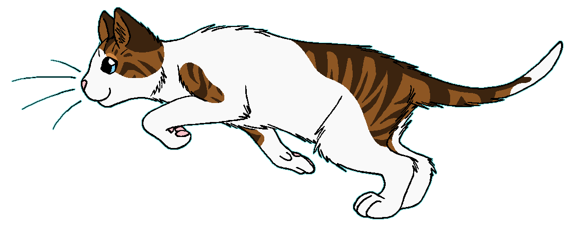 ThunderClan - Mallowfur