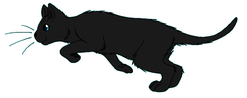 ThunderClan - Ravenwing