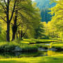 Peaceful nature 17