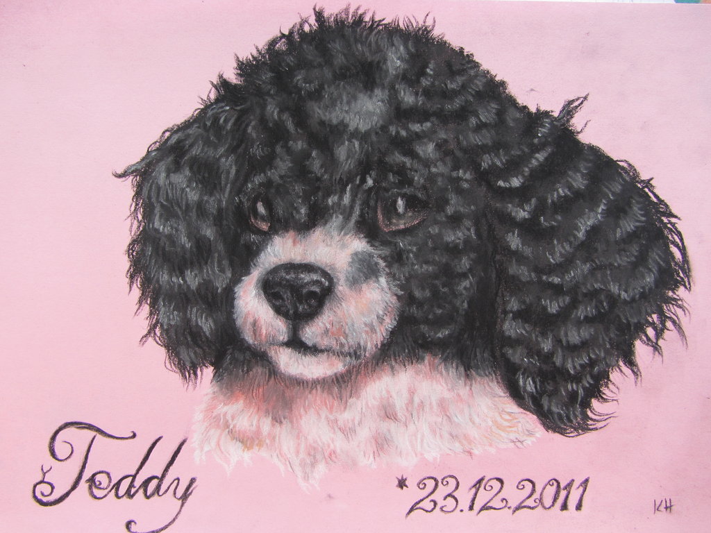 Teddy By Lorello