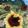 Field of Sunflowers