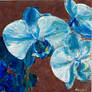 Blue Orchid