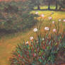 The Garden