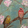 Birds n Blossom