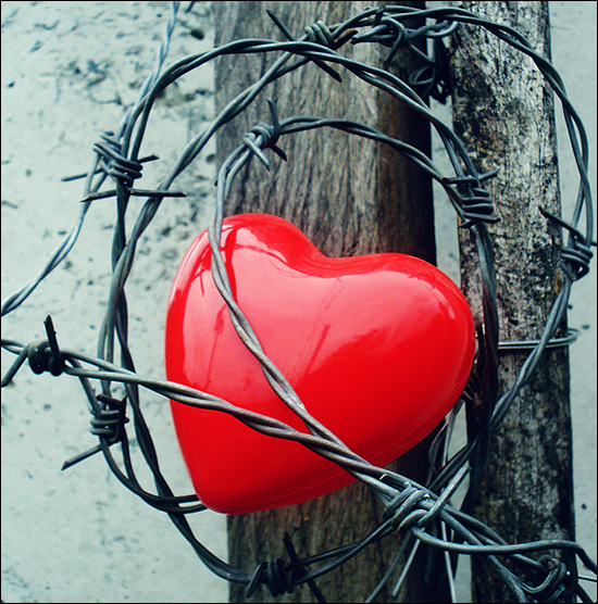 Love hurts by Alephunky