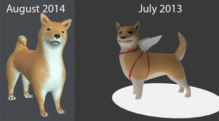 1 year later progress - Shiba Inu