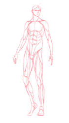 pic Male Drawing Base Full Body single full body male on drawingbases