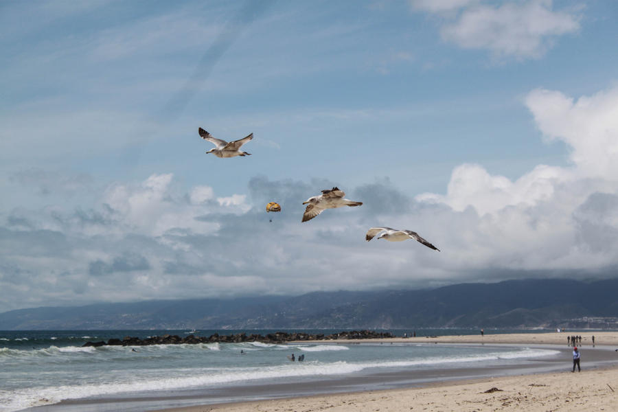 Venice Beach, CA