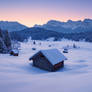 Frozen Dawn